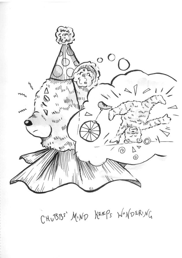 &#39;Chubbs&#39; Mind Keeps Wondering&#39;